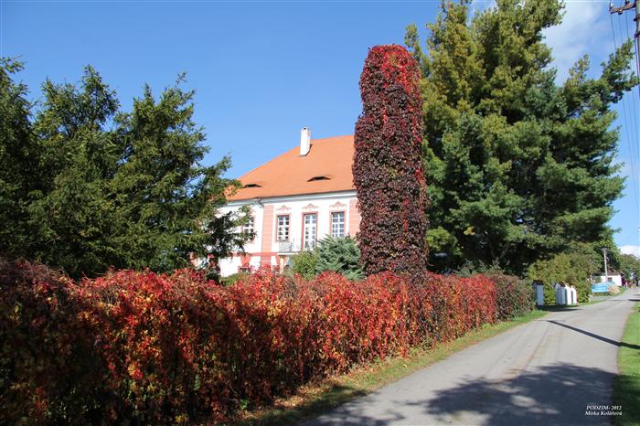 Vyklízení Vilémovice